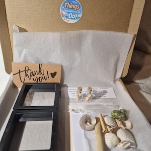 Shell art in a box. Create Your own seaside Scene Kit.