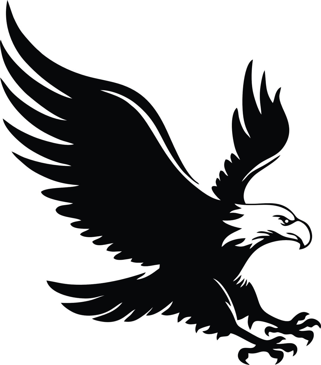 Eagle SVG American Eagle Bald SVG Clip Art Files Cricut Silhouette ...
