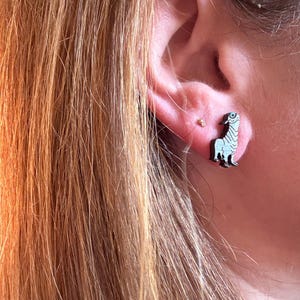May include: A close-up of an ear with a small gold stud and a seal-shaped stud earring. The seal earring is black and light blue with a detailed design.