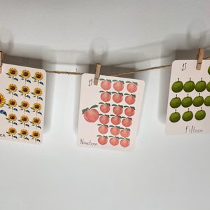 Nature comptage numéros flashcards enfants comptage flashcard maternelle apprentissage flashcard pépinière décor flashcard école à la maison flashcard ensemble
