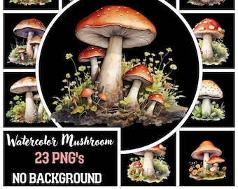 Watercolor Mushroom Clipart: 23 Forest Toadstool PNG Illustrations (Digital Download)