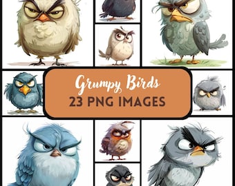 Paquete de imágenes prediseñadas de acuarela de pájaro gruñón: PNG de dibujos animados divertidos (descarga digital)