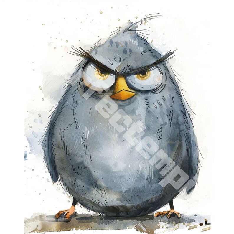 Grumpy Bird Clipart, Cute Fluffy Bird, Digital Clipart, Watercolor ...