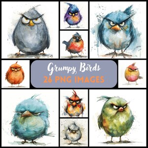 May include: A collection of 26 digital illustrations of grumpy birds in various colors and poses. The birds are drawn in a cartoon style with exaggerated features. The text "Grumpy Birds 26 PNG IMAGES" is displayed in the center of the image.