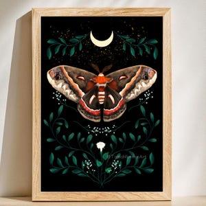 Cecropia Moth Art Print: Dark Cottagecore Witchy Decor