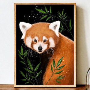 Red Panda Fine Art Print, Red Panda Drawing, Animal Wall Art, Panda Lover Gift Idea, Wildlife illustration, Kids Room Decor, Nursery Print