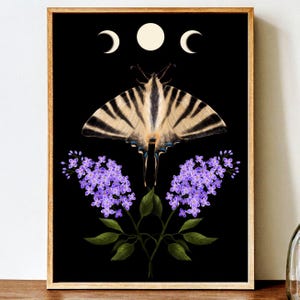 Impression d&#39;art papillon machaon rare : décoration lilas et lune