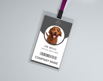 Custom office dog ID cards