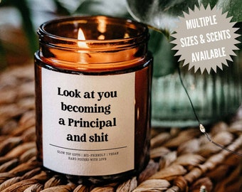 New Principal Congratulations Candle Gift, Look at you Becoming a Principal and Shit, Best Friend Gift, Gift for Principal, Principal Gift