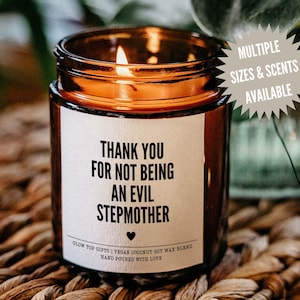 Funny Gift for Step Mom, Mother&#39;s Day Gift for StepMom, Birthday Gift for Step Mom, Gift from Step Daughter, Funny Evil Stepmother Gift