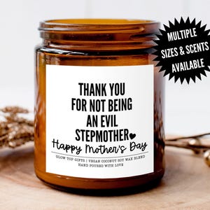 Funny Gift for Step Mom for Mother's Day, Mother's Day Gift for Step Mom, Gift for Step Mom, Gift from Step Daughter, Evil Stepmother Gift