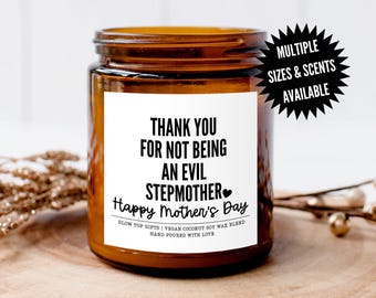 Funny Gift for Step Mom for Mother's Day, Mother's Day Gift for Step Mom, Gift for Step Mom, Gift from Step Daughter, Evil Stepmother Gift