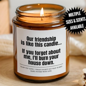 Best Friend Gift Funny Candle Gift For Friend Birthday Gag Gift Housewarming, Moving Leaving Long Distance Friendship is Like This Candle