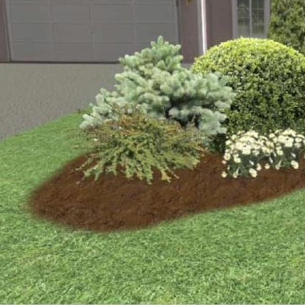 Zone 8 Front Yard Landscape - Etsy