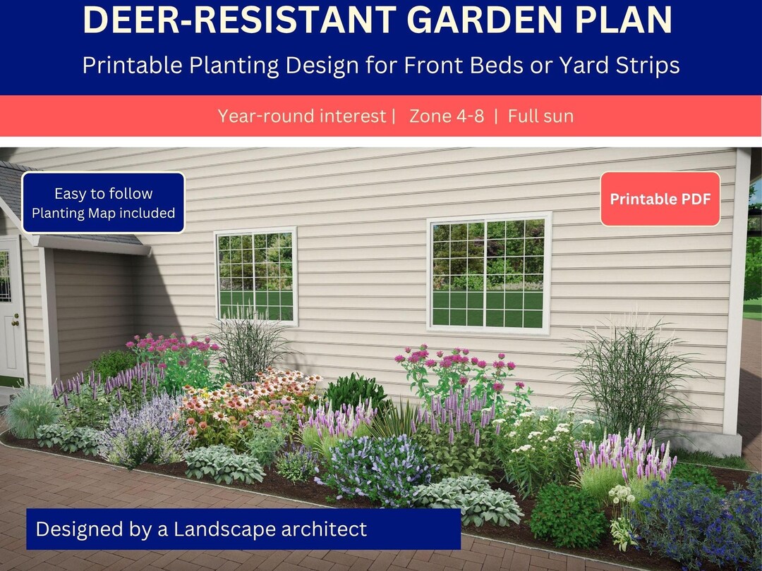 Buy Deer Resistant Garden Plan – Full Sun, Pollinator Friendly (PDF ...