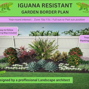 May include: A garden border plan with the text "IGUANA RESISTANT GARDEN BORDER PLAN". The image shows a variety of plants, including red, green, and blue-green foliage, set against a white fence and green grass. The text also includes "Easy to follow Planting Map included".