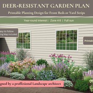 Diseño de paisaje – Plan de jardín resistente a los ciervos – Pleno sol, apto para polinizadores (Descarga en PDF)