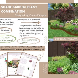 Shade Garden Planting Plan: Japanese Style, Zones 5-8 (Digital Download)