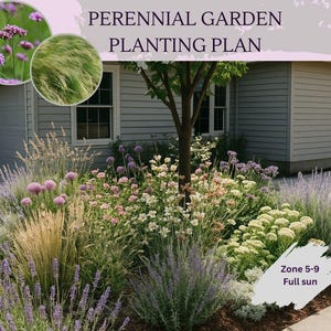 Pollinator Garden , Perennial Garden Planting Plan , Digital Flower Bed Design, DIY Front Yard Landscaping ,  Low Maintenance
