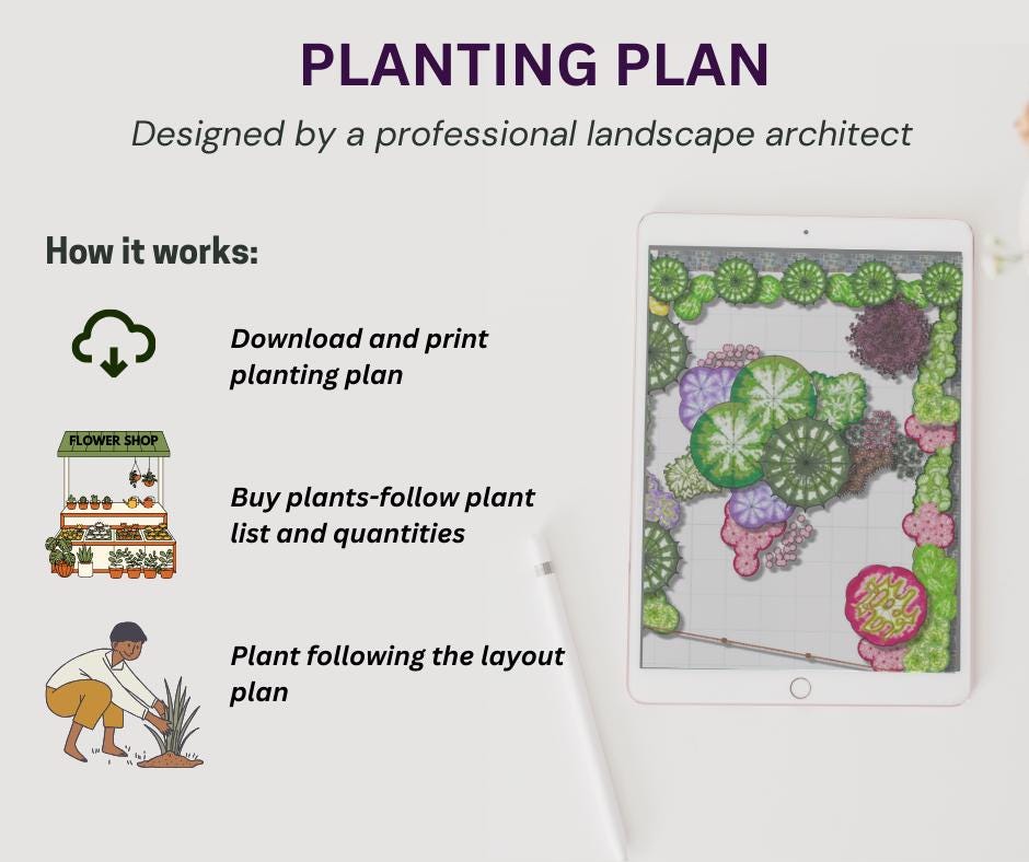 Full Sun Garden Border Planting Plan (zones 7-9) (PDF Download) - Etsy