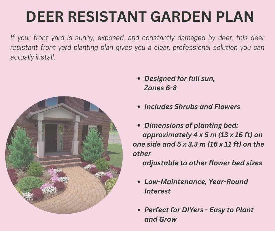 Deer Resistant Front Yard Garden Plan | Modern Full Sun Landscape ...