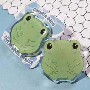 Cute Frog Acrylic Pin