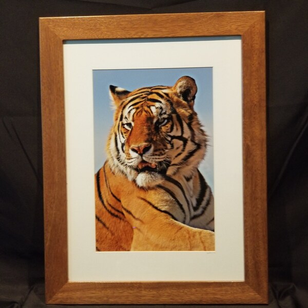Custom Made Picture Frames With Glass.  Pictures From Local Photographer.