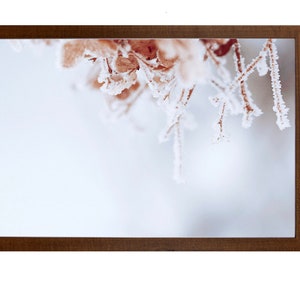 Winter Photograph