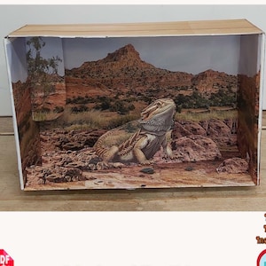 Puede incluir: Un diorama de papel de un hábitat de dragón barbudo. El diorama está diseñado para parecer una escena desértica con una montaña en el fondo. El diorama está impreso sobre un fondo blanco y tiene un marco de caja de cartón marrón. El texto "Imprime, corta y pega, escena 3D" está impreso debajo del diorama. El texto "¡Caja NO incluida!" está impreso en la esquina superior derecha de la imagen.