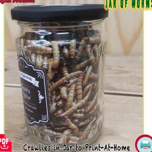 Pode incluir: Um frasco de vidro transparente cheio de numerosos vermes castanhos claros, coberto com uma tampa preta. O frasco tem um rótulo com texto e é rotulado como "Jar of Worms". As palavras "Crawlies in Jar to Print-At-Home" estão na parte inferior.