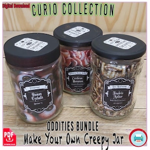 May include: An oddities bundle featuring three glass jars with black lids. One jar contains preserved human eyeballs, another has preserved human brain, and the third jar holds five mealworms. The jars are labeled with gothic-style text.