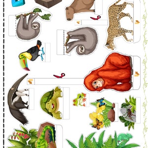 Printable Ecology &amp; Biology Shoebox Diorama, Create Your Own Rainforest ...