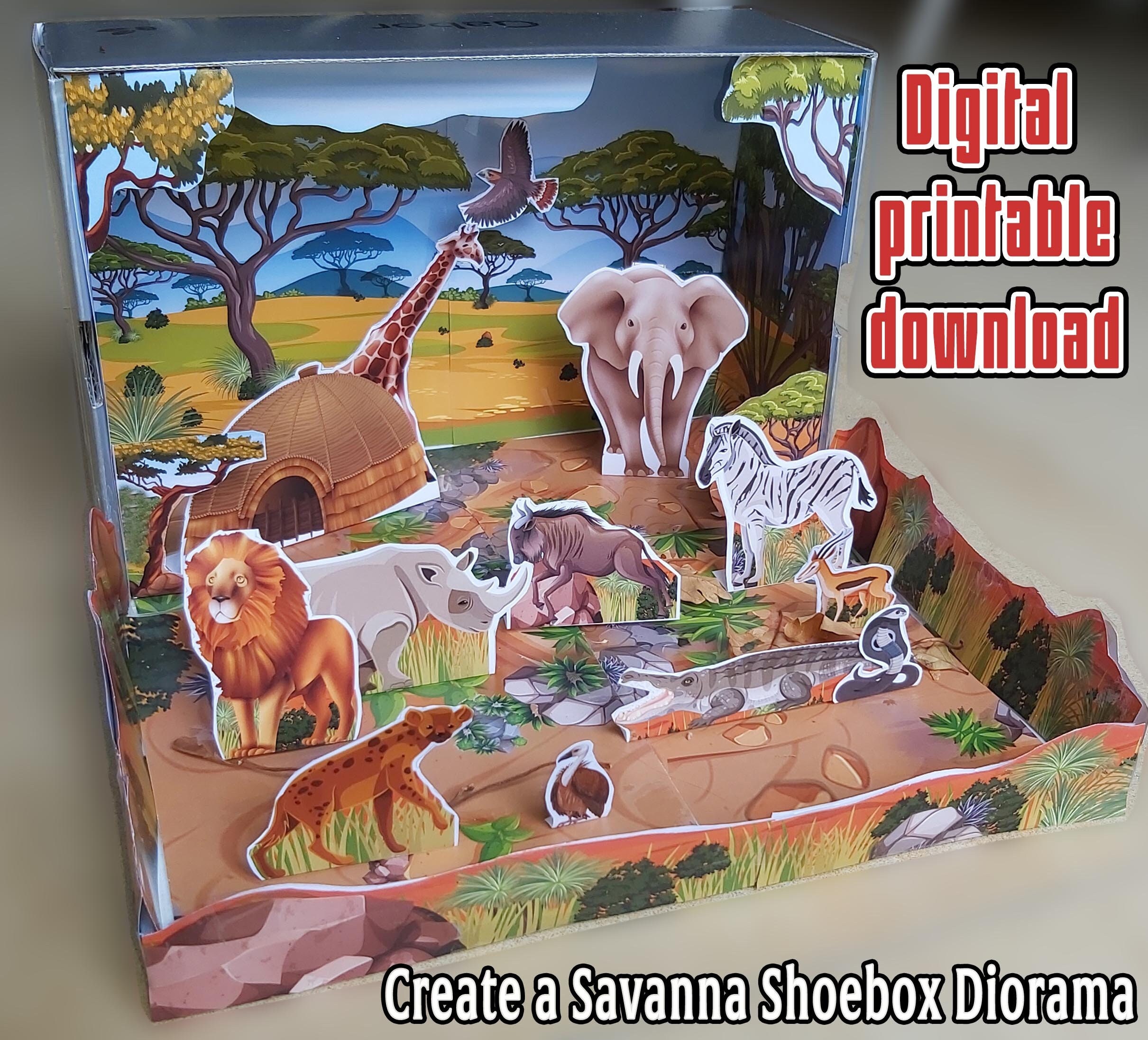 DIY  3D  Tropical Rain forest Biom Diorama 