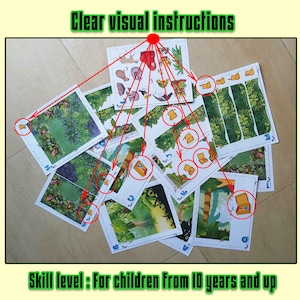 Printable Ecology &amp; Biology Shoebox Diorama, Create Your Own Rainforest ...
