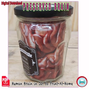May include: A clear glass jar with a black lid filled with a preserved human brain. The jar has a label with text. The words "PRESERVED BRAIN" are at the top. The text "Human Brain in Jar to Print-At-Home" is at the bottom.