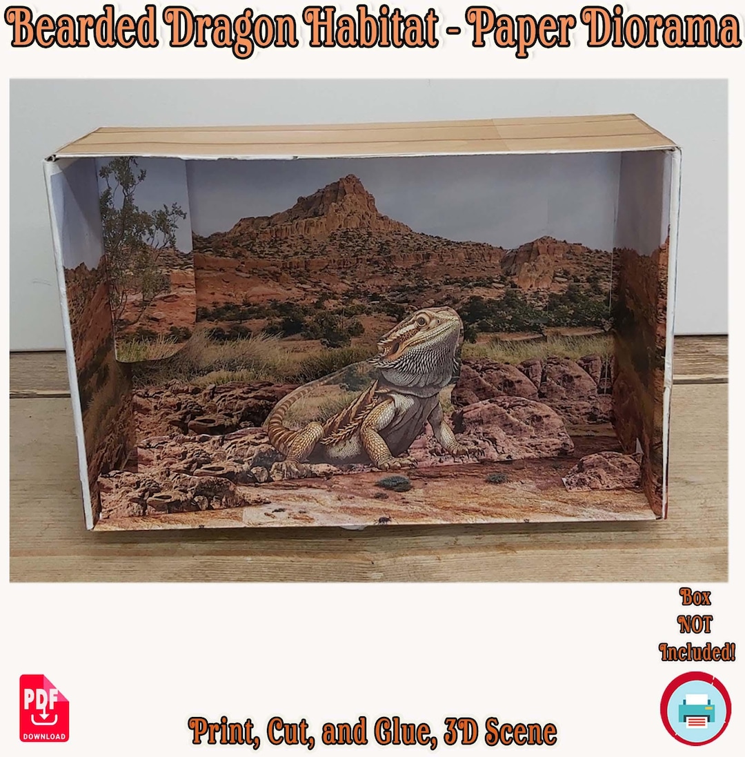 Bearded Dragon Shoebox Diorama: Printable Lizard Habitat Craft