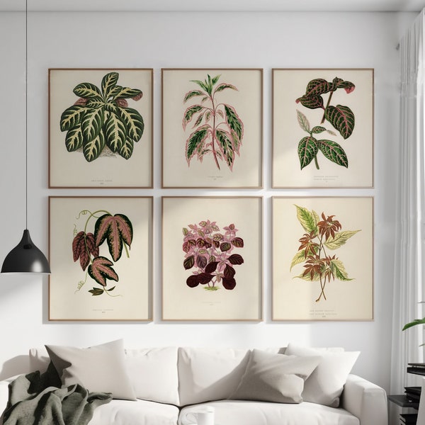 Botanical Beige Wall Art, Plant Art Print, Modern Plant Wall Art, Neutral Gallery Wall Set, Botanical Print, Mid Century Modern Digital Art