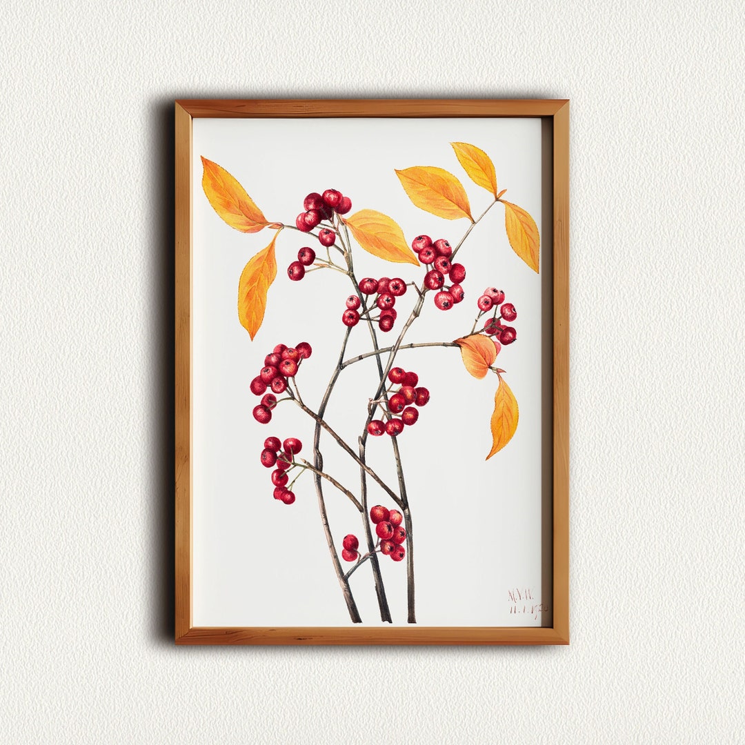 Modern Aesthetic Flower Wall Art Prints, Flower Market Print, Botanical Wall Art Kitchen Decor