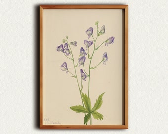 Botanical Print, Downloadable Floral Wall Art, Flower Market, Modern Large Wall Art, Green Plant Art Print, Vintage Gallery Art Print