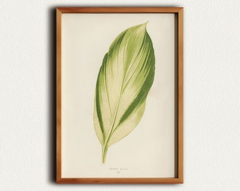 Colorful Leaf Wall Art, Living Room Art, Modern Prints, Sage Green Wall Art, Above Bed Art