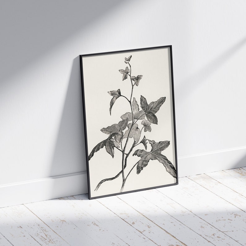 Printable Floral Sketch Wall Art Downloadable Vintage Art Etsy