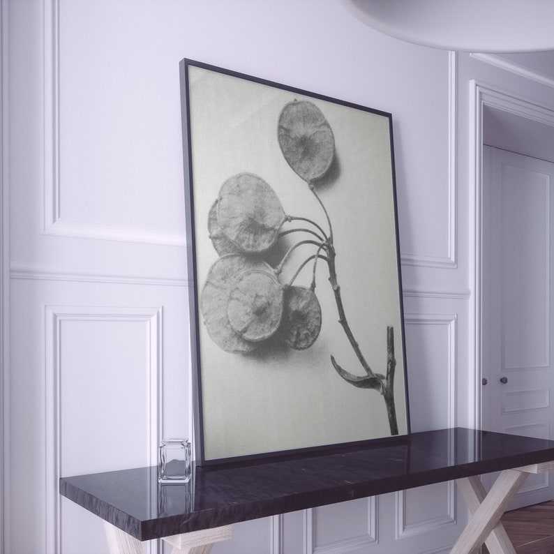 Flower Digital Wall Art, Floral Printable Poster, Still Life Rustic