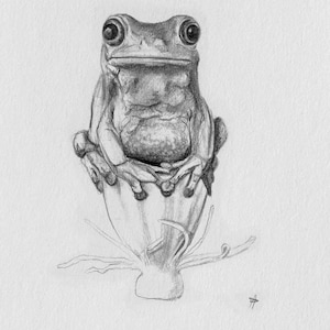 Froggy Drawing Framed 5x7 Print - Etsy