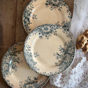 May include: Three round ceramic plates with a cream-colored base and a dark blue floral pattern featuring chrysanthemums and leafy vines along the edges. The plates have a smooth, glazed finish and a circular shape with a slightly raised rim.
