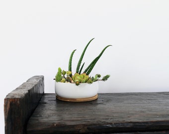 Ceramic Succulent Planter - Small White Pot With Bamboo Base - 2 inch Tall By 6 inch Diameter Ceramic Bowl