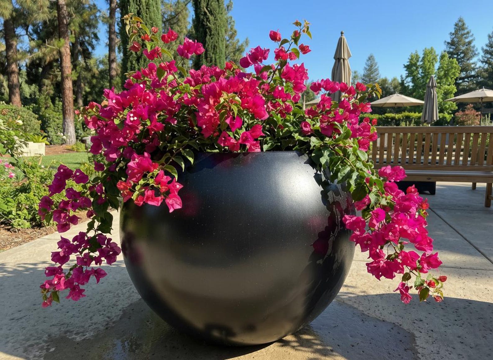 Large Spherical Fiberglass Planter - Custom Outdoor Commercial Pots ...