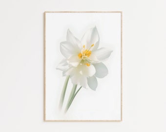 Arte de pared minimalista con flores de narciso blanco, lámina botánica de flores silvestres, arte de pared estilo granja, decoración orgánica para el hogar.