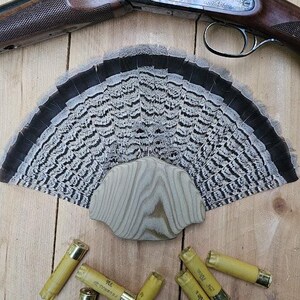 May include: A wooden turkey tail fan with a gray and black pattern. The fan is mounted on a wooden base. There are six shotgun shells on the wooden surface.