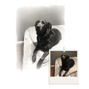 Custom Pet Portraits Using Pet Photo | Personalized Digital Dog Portraits | Cat Portraits | Gifts for dog lovers | gifts for cat lovers