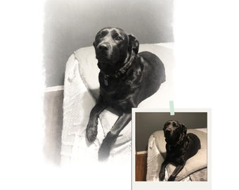 Ritratti di animali domestici personalizzati utilizzando foto di animali domestici / ritratti di cani digitali personalizzati / ritratti di gatti / regali per gli amanti dei cani / regali per gli amanti dei gatti